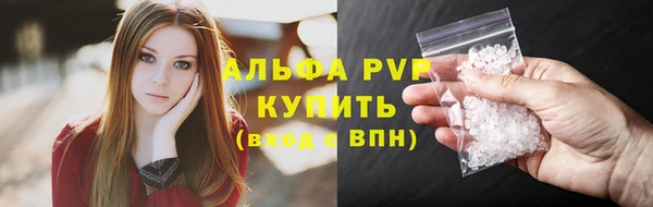 дмт Белокуриха