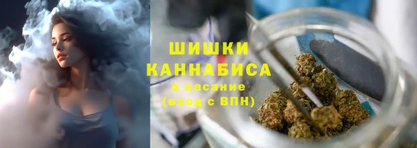 дмт Белокуриха
