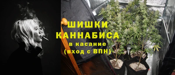 дмт Белокуриха