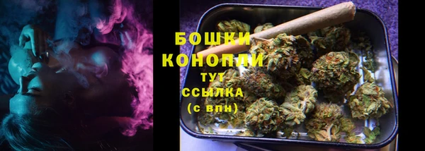 дмт Белокуриха