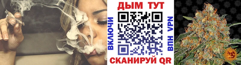 Каннабис план как найти Вязьма